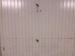 Garage/box 14 m² Lyon