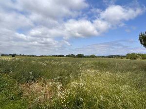 Terrain constructible viabilisé à vendre