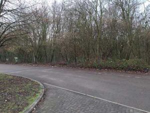 Parcelle de terrain boisée de +-75 ares