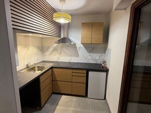 Location lille appt entierement renove