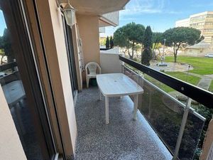 Location juillet août T2