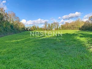 Terrain Constructible Grues 19 264 m2