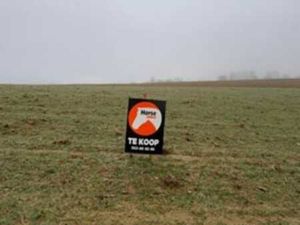 HERZELE - Landbouwgrond van 46are