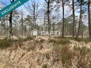 Propriété forestière