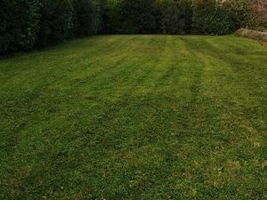 Cherche location terrain agricole