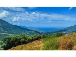 SAFTI LUCIANI Charlotte conseiller indépendant