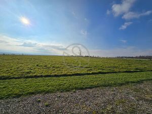 Terrain constructible de 6500 m2