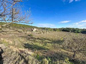 Domaine de 8 3 ha avec Bastide du XIXe à rénover – Cotignac
