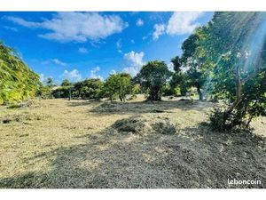 Terrain 1 215 m² Le Vauclin