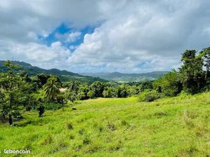 Terrain 2 400 m² Le Vauclin