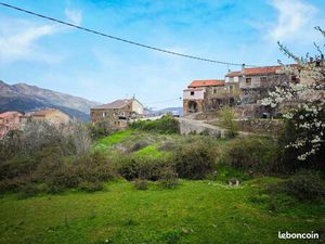 Terrain 1 603 m² Valle Di Rostino