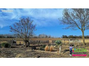 Terrain agricole 5 855 m² Saint Laurent D Aigouze