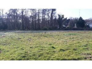 Annonce vente terrain terrain de 1m2 à Sanguinet (40460) - ParuVendu.fr ref 992784194462