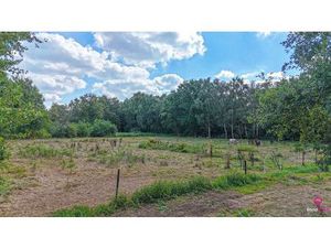 Terrain agricole à vendre à Obbeekstraat Heusden-Zolder (RBU94849)