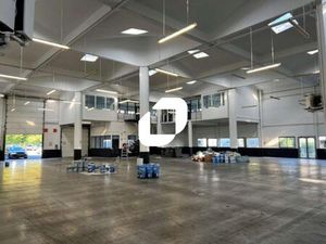 Location Local d'activités Villeneuve D Ascq 59650