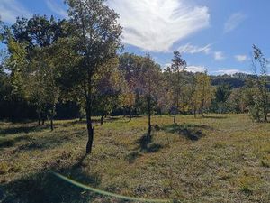 Truffière et terrain de loisir