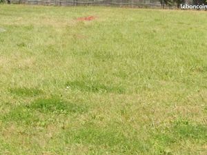 Terrain 700 m² Saint Selve