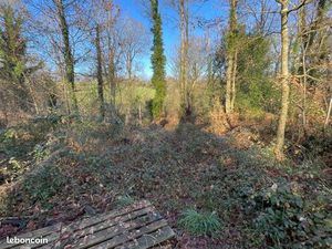 Terrain boisé Bretagne (56)