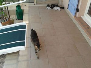 Location chambre chez habitant