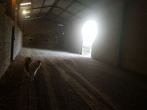 A louer local parkings fermé pour camping car van caravane