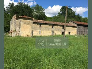 CORPS DE FERME A RENOVER plus de 6HA - Entre Bazas et Langon - G
