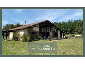 Propriété 2 habitations - Maison - Landaise - Piscine - Ecurie