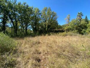 Roquefort-Les-Pins : Terrain Constructible
