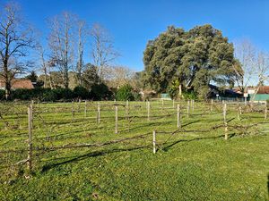 Achat Terrain 1 525m²