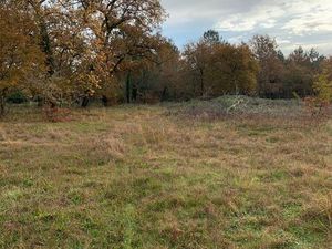 Terrain constructible - Libre de constructeur - 1100 m2 - 33830 BELIN-BELIET - Quartier ca