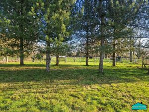 Achat Terrain 3 400m² ST PHILBERT DE GRAND LIEU 44310