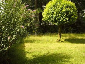 Location appartement 1 pièce 24 m² à Nantes (44000)