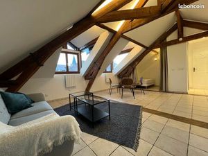 Appartement meublé hyper centre proche lac et Bonlieu