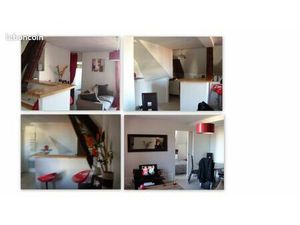 Apt F2- Centre ville - 300m de gare - 55 m2 - 500