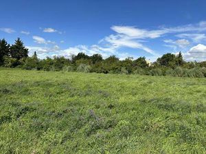 Terrain constructible viabilisé à vendre
