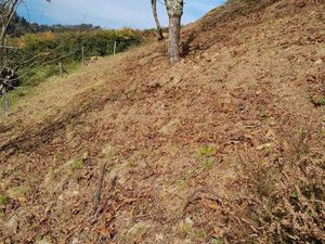 Cherche terrain agricole