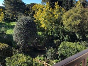 Appartement 300 mt de la plage