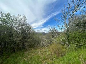 Terrain de 3 132 m2 avec vue Souillac 46