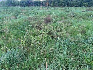 Vente Terrain à Saint-Pol-de-Léon (29250) : à vendre / 626m² Saint-Pol-de-Léon