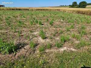 Terrains constructibles