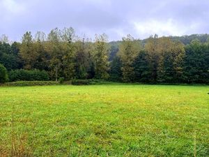 À vendre – Terrain constructible à Courdemanche (72150) – 3 175 m² en pleine nature  à 650