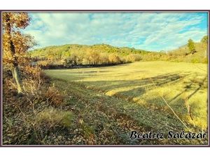 A vendre à 10mn de Digne-les-Bains  terrain à bâtir de 16 523 00 m² MEZEL (04)