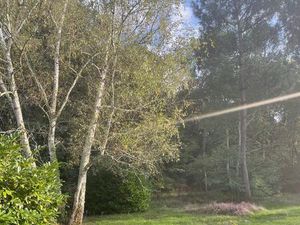 Terrain à bâtir à Saint-Aubin-de-Médoc (33160)