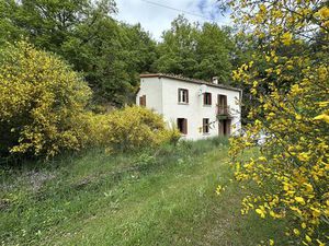 Maison 4 faces à vendre sur 47000m2 à Serralongue Vallée du Tech