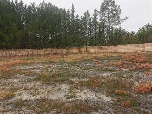 Terrain à bâtir à Biscarrosse (40600)