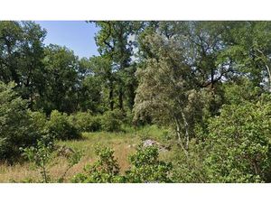 Vente terrain neuf 500m2 Brignoles - 115000 € - Surface Privée