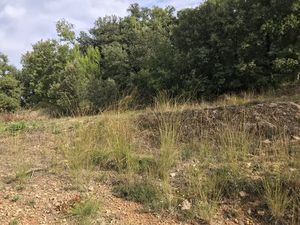 Vente terrain neuf 500m2 Flassans-sur-Issole - 80000 € - Surface Privée