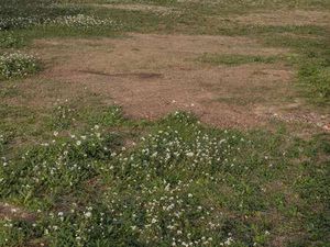 Vente Terrain à Fouesnant (29170) : à vendre / Fouesnant