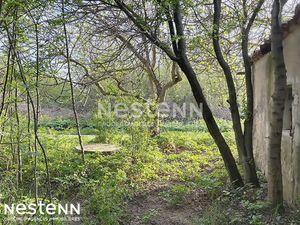 Terrain agricole et de loisirs de 4 558 m² -cadre boisé  puits  cabanon en dur cadastré de