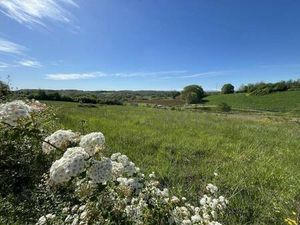 Terrain constructible viabilisé à vendre