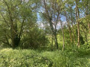 Terrain constructible pour porteur de projet en activité touristique